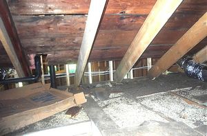 gal/Button House - Restoration/tn_DCP_786.jpg